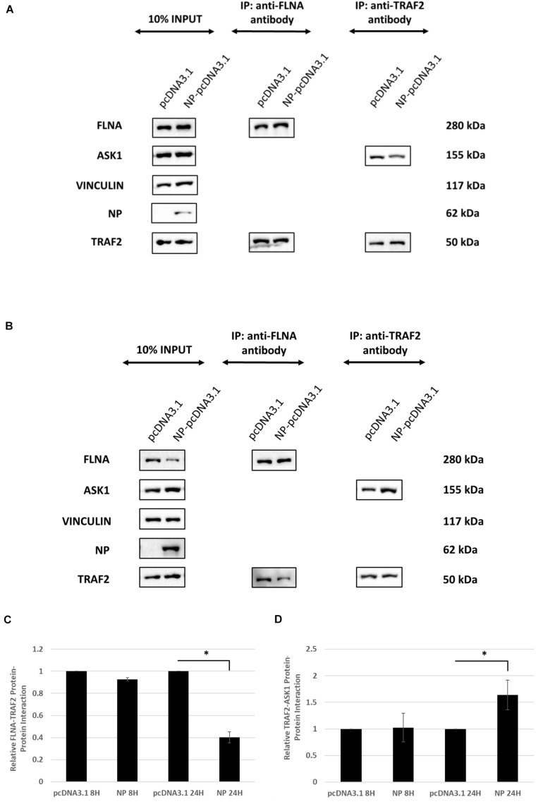 FIGURE 11