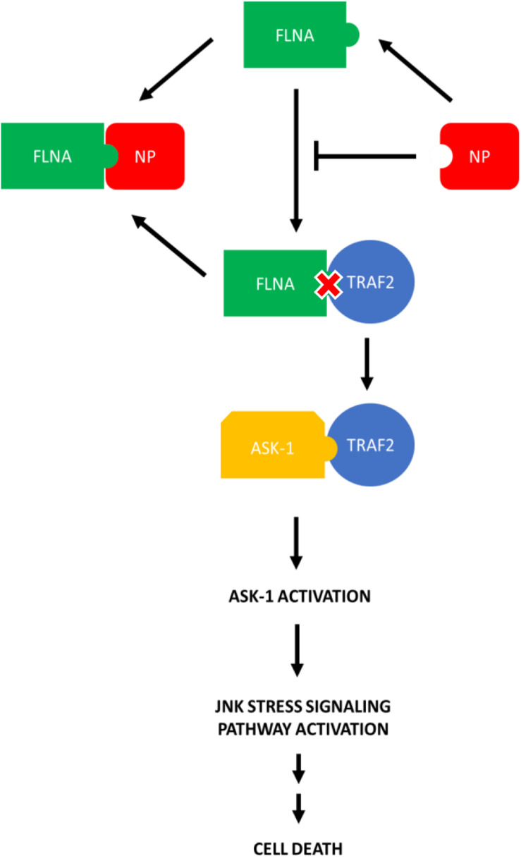 FIGURE 12