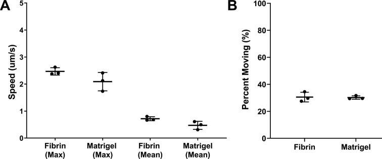 Figure 2—figure supplement 1.