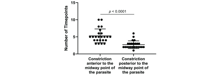 Figure 5—figure supplement 1.