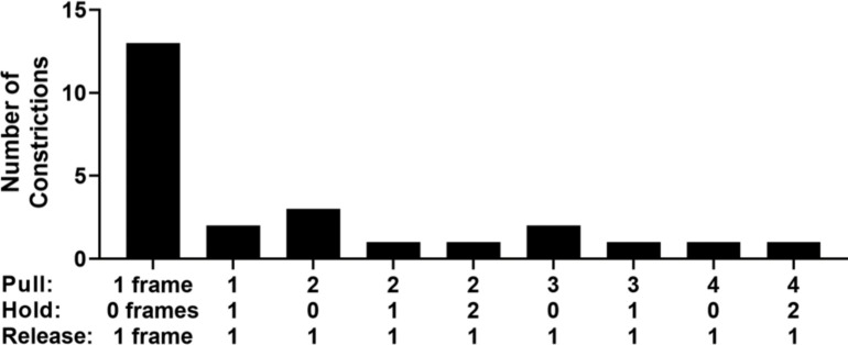 Figure 4—figure supplement 2.