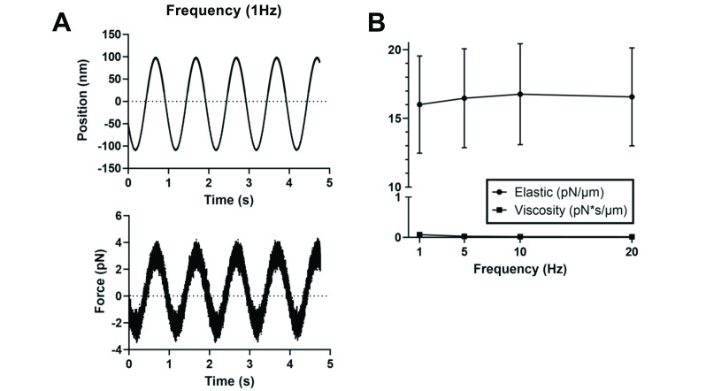 Figure 3—figure supplement 1.