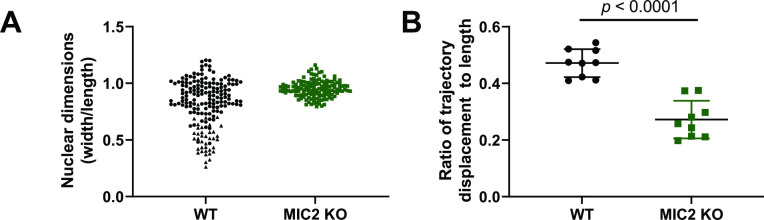 Figure 7—figure supplement 1.