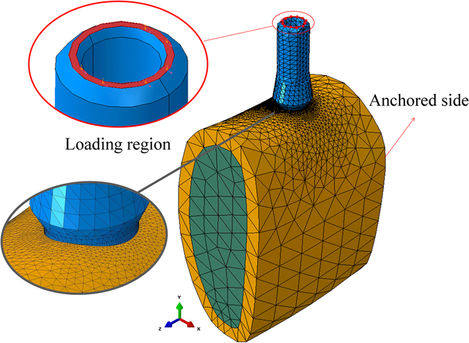 Figure 7