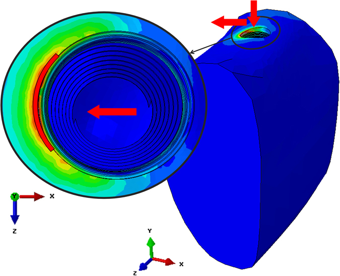 Figure 8