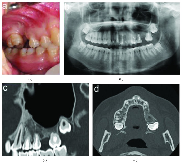 Figure 7