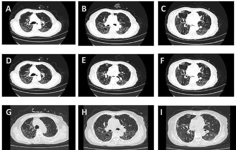 Fig. 3