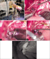 Figure 2: