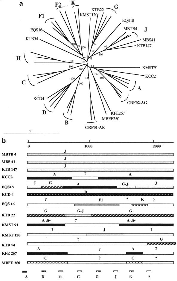 FIG. 5