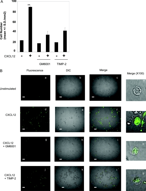 Figure 2-6938