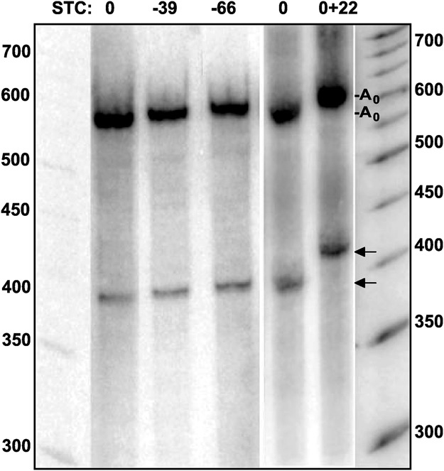 FIGURE 7.