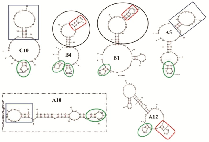 Figure 4.