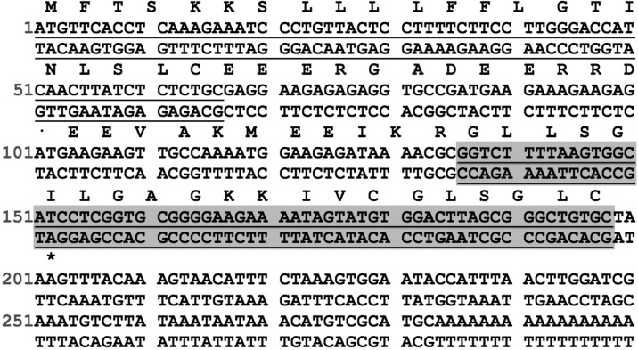 FIGURE 1