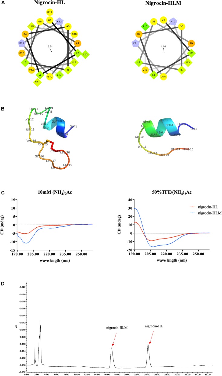 FIGURE 2