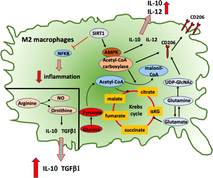 Figure 3