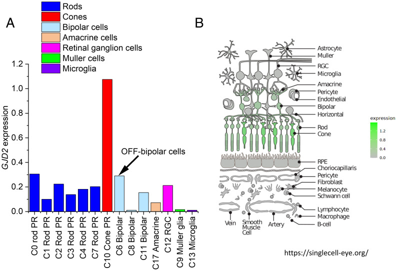 Fig. 4.