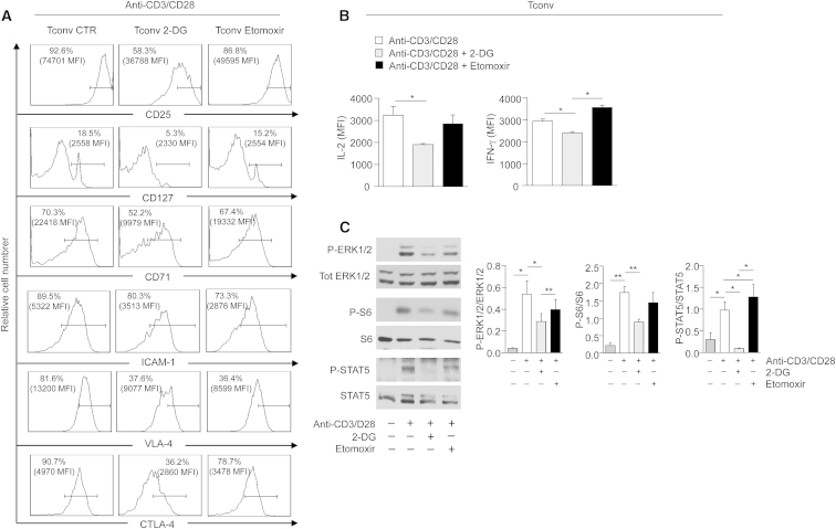 Figure 7