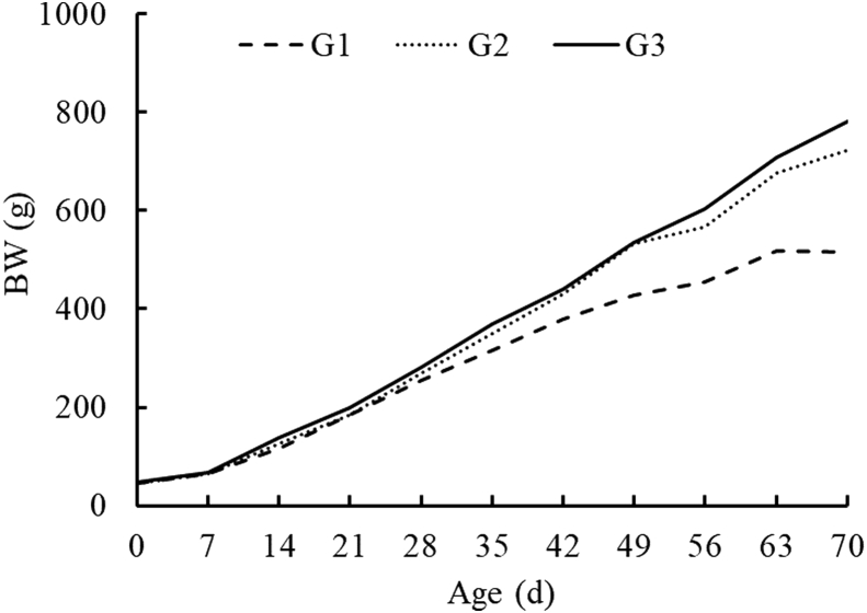 Figure 4