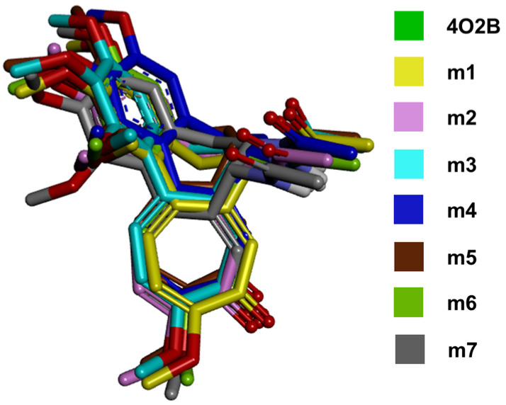 Figure 4