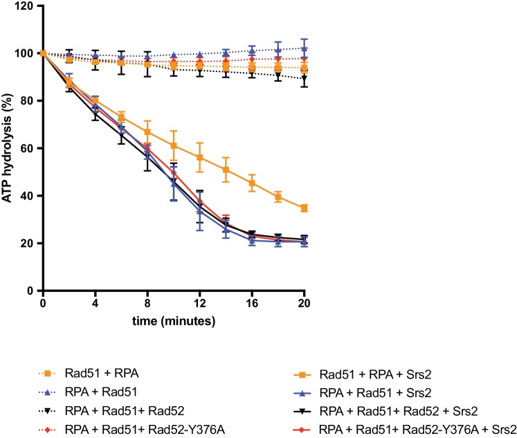 Figure 5—figure supplement 3.