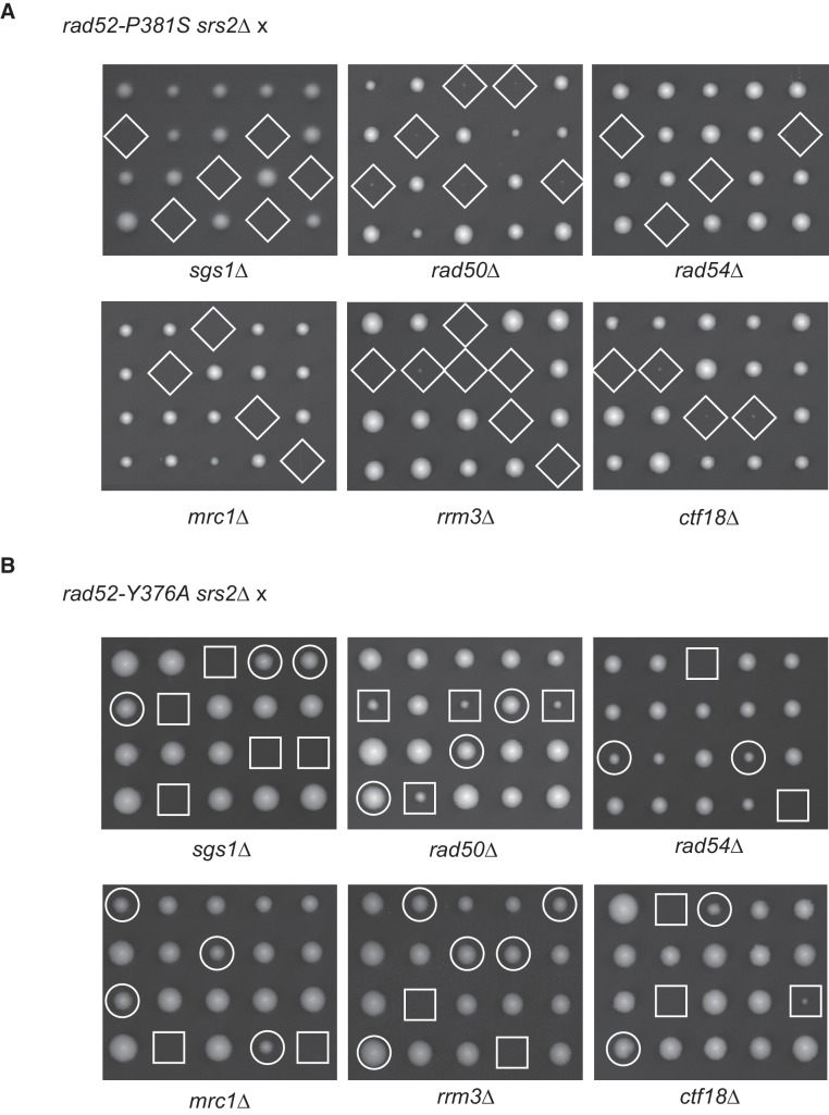 Figure 1—figure supplement 2.