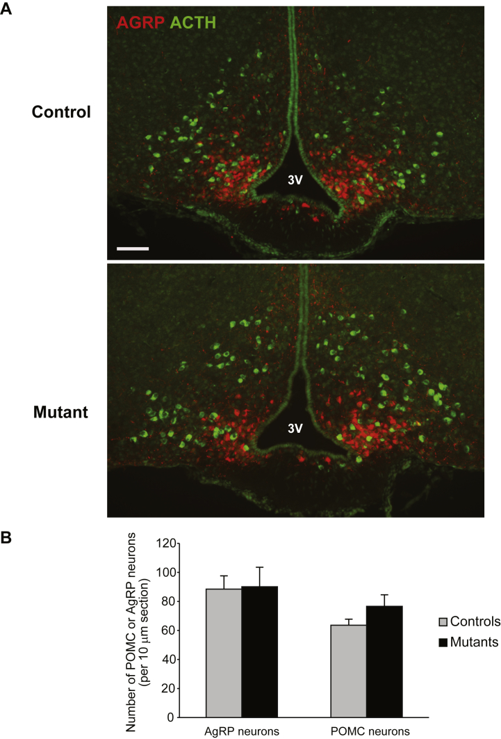 Figure 3