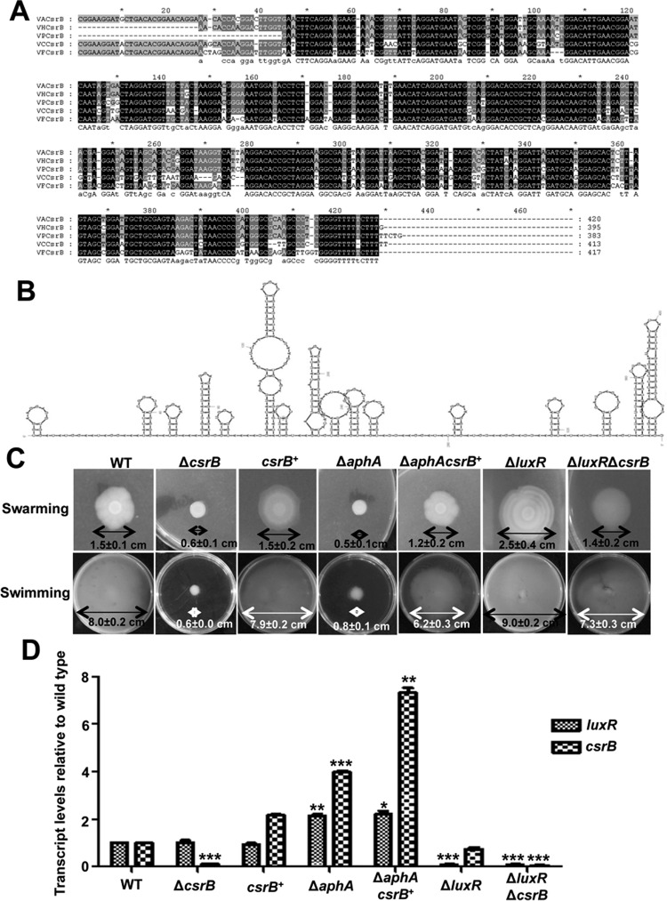 FIG 8