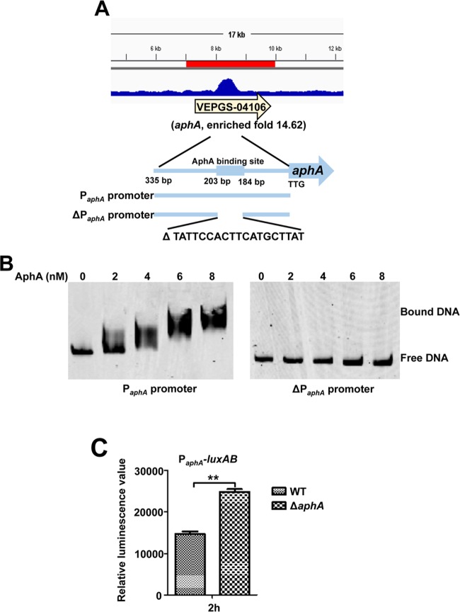 FIG 6