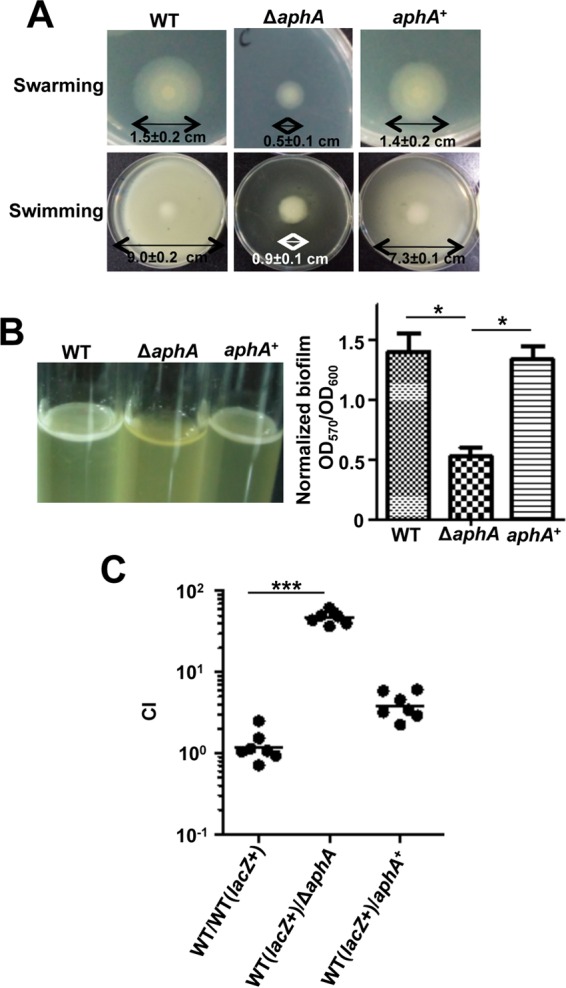 FIG 2