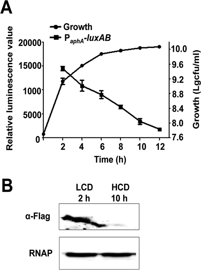 FIG 1