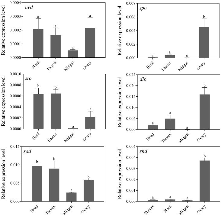 FIGURE 4