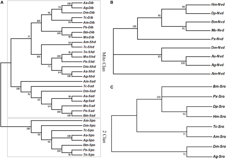 FIGURE 1