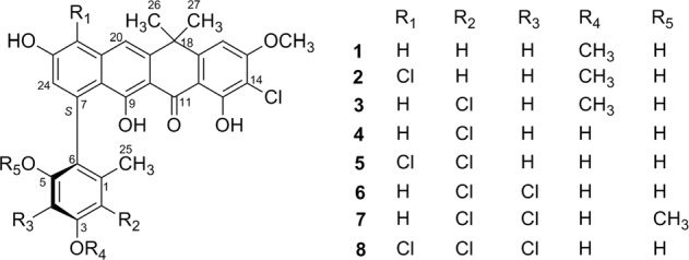 Fig. 1