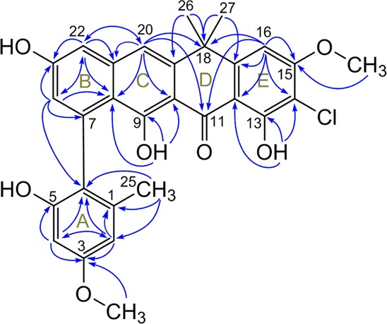 Fig. 2