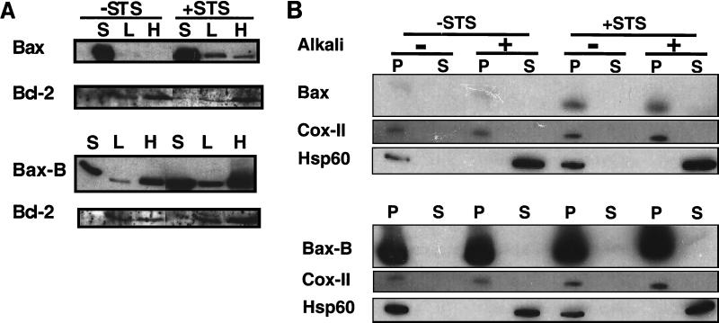 FIG. 7