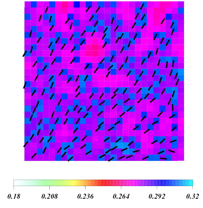 Figure 5b