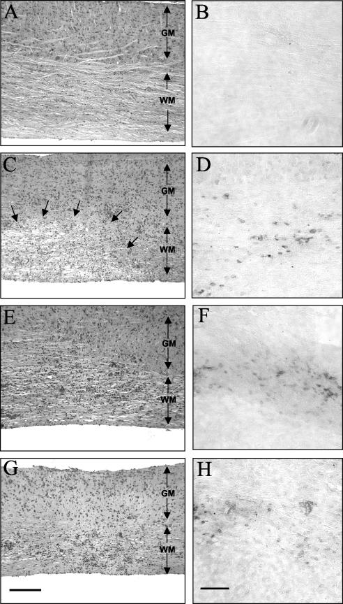 FIG.4.