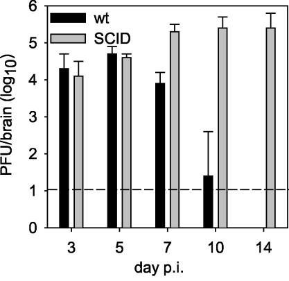 FIG. 1.