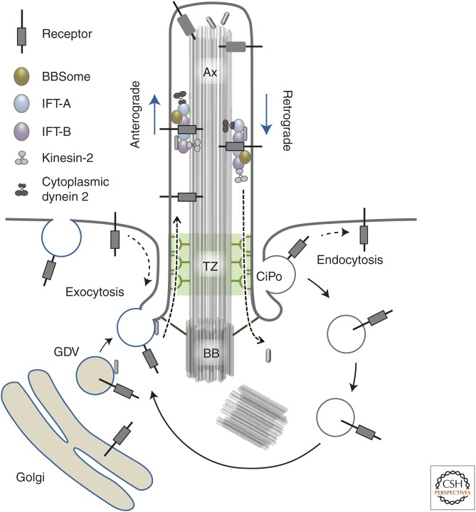 Figure 1.