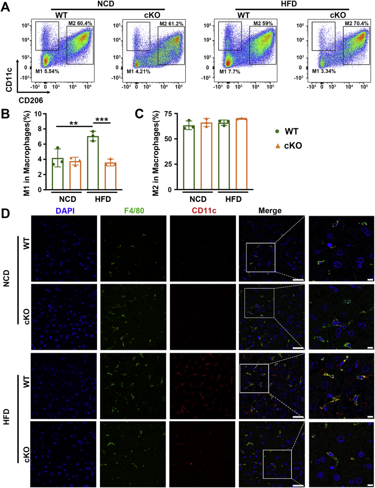 Figure 6