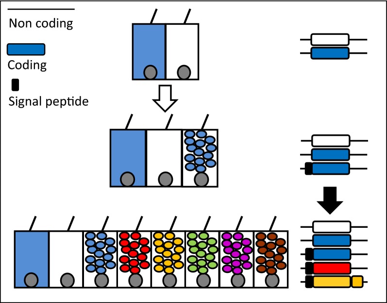 Fig. 9