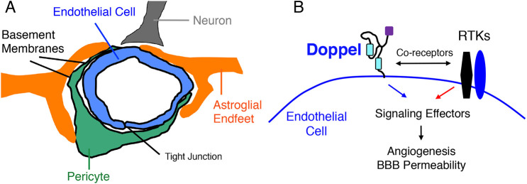 Fig. 9.