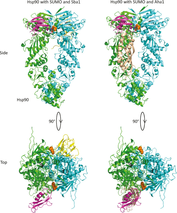 Figure 7: