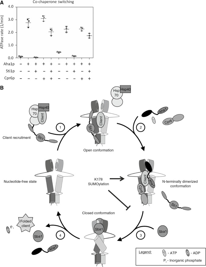 Figure 6: