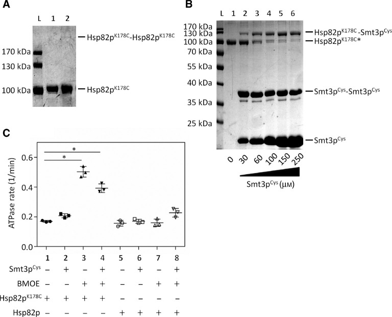 Figure 2: