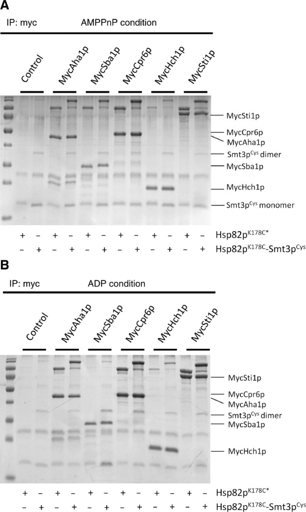 Figure 5: