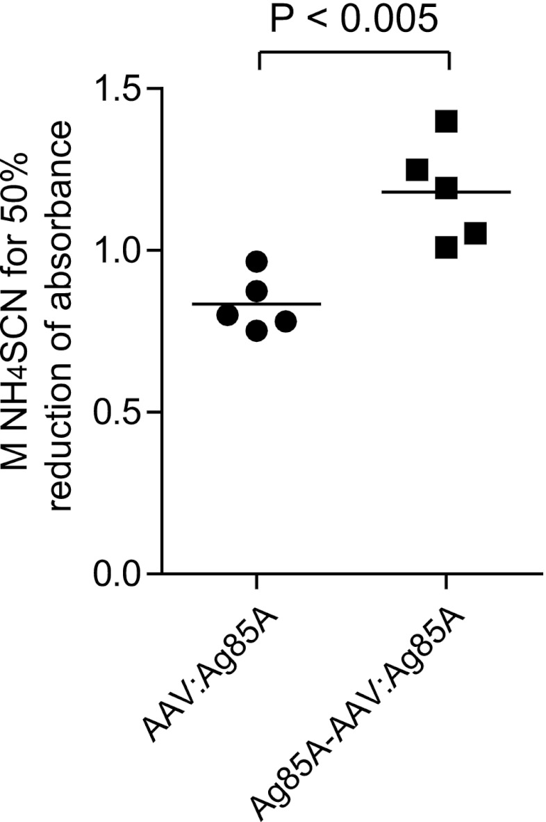 Fig 5