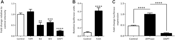 Fig. 1