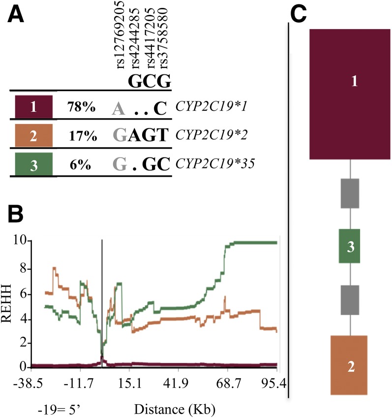 Fig. 9.