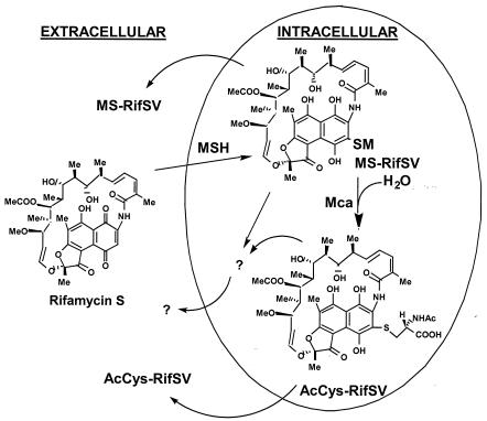 FIG. 5.